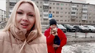 🌟VLOG🌟With the 
