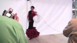 Alegrías