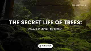 The Secret Life Of Trees: Communication in the Forest