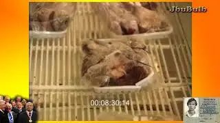 Документальный фильм Осень 1990, Горбачев и голод в СССР, 2018