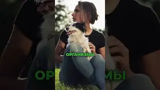 Раскрываем Тайны Биосферы Земли: Ключ к Здоровью нашей Планеты - Краткое Объяснение
