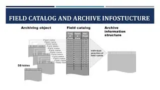 SAP DATA ARCHIVING  - PART 8 - DISPLAYING ARCHIVED DATA  - FIELD CATALOG AND INFO STRUCTURES
