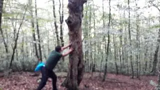 Kuru ağaç dayanamadı