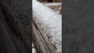 Snow that looks more like sleet!