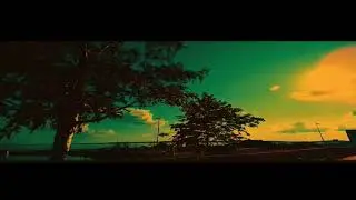 p571 - Slave Labour (video version) | HD