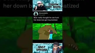 Poor bear😂😂