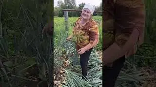 поймала меня на огороде🤷‍♂️😁