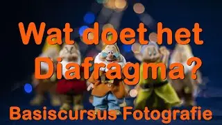 Wat is Diafragma?