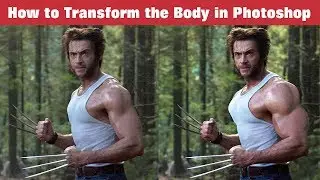 How to Transform the Body in Photoshop