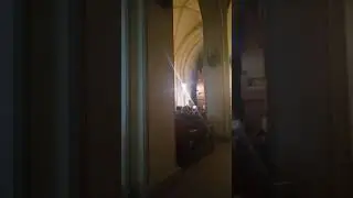 "Вселенная орган". 02.11.19