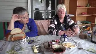Атаманское степное лесничество - Александровский лес