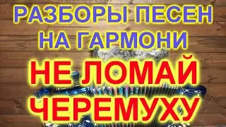 РАЗБОР ПОД ГАРМОНЬ! НЕ ЛОМАЙ ЧЕРЕМУХУ!