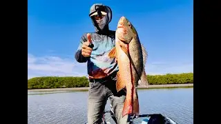 Good fishing with 3 kilo snapper bait
