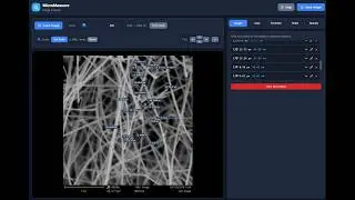 MicroMeasure Image Analysis | Free Browser Tool for SEM & Scientific Image Measurements