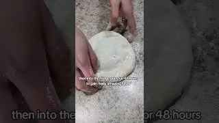 Whole Wheat Neapolitan Pizza Dough Recipe - Homebody Eats
