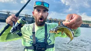 EVERYTHING We Tossed In The Spillway Got DESTROYED! -- Using Catfish For BAIT! (Non-stop Action!)