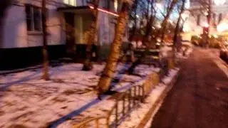 Лиса в Москве.