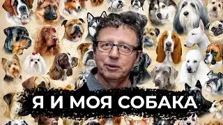 Я И МОЯ СОБАКА - ВОЗРОЖДЕНИЕ!