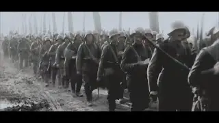 Fields of Verdun