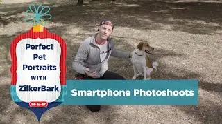 How to Take Perfect Pet Pictures with ZilkerBark: Outdoor Photoshoots w/ a Smartphone