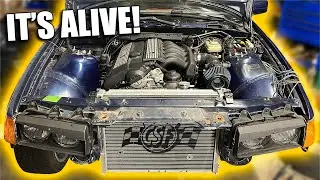 The E36 328ti Compact Is Back!