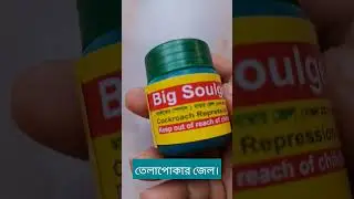 তেলাপোকা মারার ১ নাম্বার জেল।