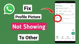 WhatsApp Profile Picture Not Showing to Others (Fixed in 2024)