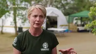Brand New Special Premiere Tuesday 3 May 2022 at 8pm (SGT) For Wild Koala Day: Koala Rescue Ep. 1