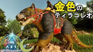 #14【ASA】金色のティラコレオ爆誕！ASAで流行るカラーは間違いなくコレだー！【PC版公式PVE：ARK: Survival Ascended】