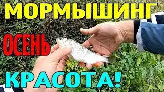 РЫБАЛКА 2019 МОРМЫШИНГ ОСЕНЬЮ ДАЕТ РЕЗУЛЬТАТ!!!
