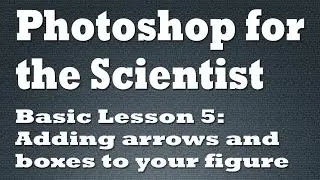 Adding arrows and boxes to your figure inside Photoshop