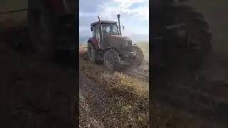 Qirg'iziston mosh o'rish texnikasi, dry bean harvester, mosh yulish texnikasi