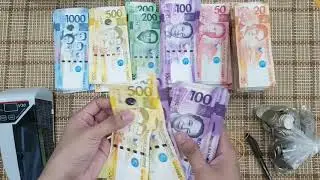 [39] ASMR MONEY SORT & COUNT - Let's Sort and Count 72,588.00 Philippine Pesos (PHP)