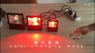 2 4G RF RGBW floodlight