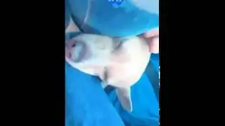 8ixoEI44pzPzaoCO