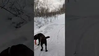 VID 20240212 162251