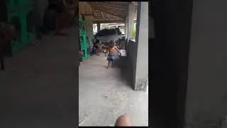 Qual é o nome da sua prima o meu é Milena