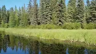 Beautiful Northern Saskatchewan