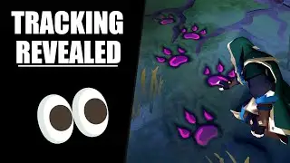 Everything You Need to Know About Tracking | Albion Online