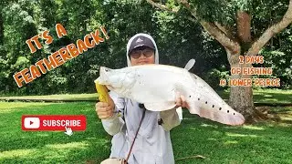 NEW SPECIES unlocked after 2 Days at LOWER PEIRCE Reservoir #fishinginsingapore #sgfishing