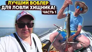 Лучший воблер для ловли хищника. Рыбалка на щуку и судака. Часть 1
