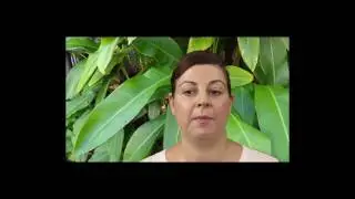 Relax Haven Physiospect