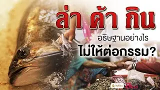 EP.6 ล่า ค้า กิน อธิษฐานอย่างไร ไม่ให้ต่อกรรม?
