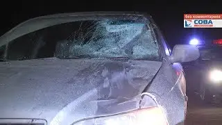У пешеходного перехода сбили женщину на Сибирском тракте. Насмерть
