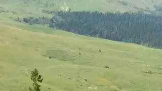 Лагонаки(1)