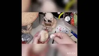 Мастер клас 
