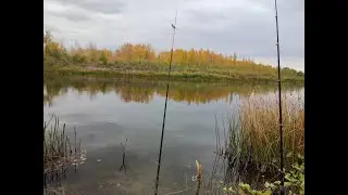 Ловля окуня в октябре