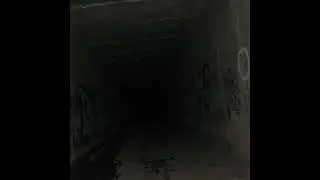 OmenXIII - 5150