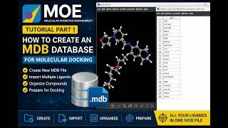 #1-MOE Series – Part 1: Creating an MDB Database for Molecular Docking