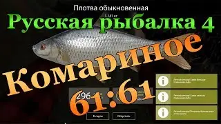 Русская рыбалка 4. Комариное 61:61